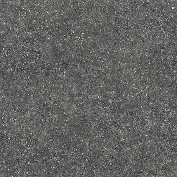 FOSSIL BLACK