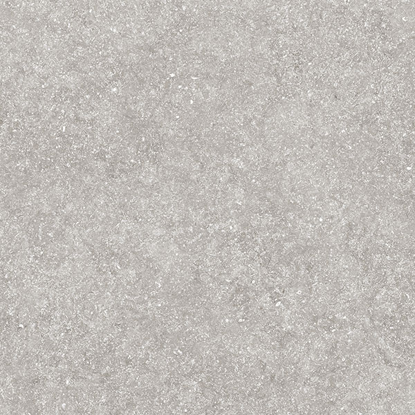 FOSSIL GRAY