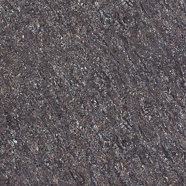 GRASSE GALAXY BLACK