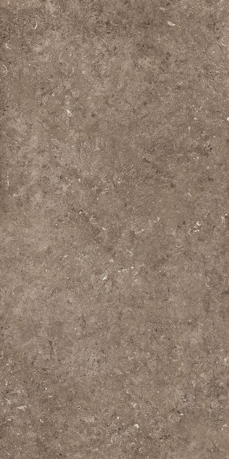 ROCK BROWN
